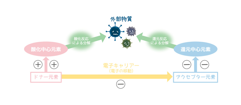 商品イメージ