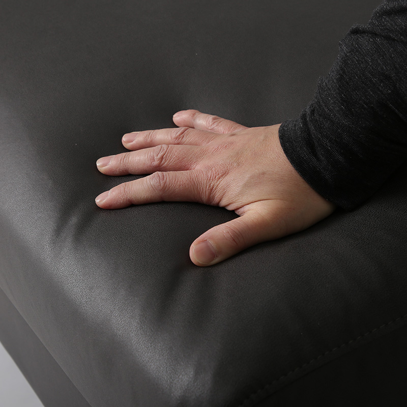 オンラインショップ限定カラー2.5人掛けモダンソファーTAPIS(タピス)の本体