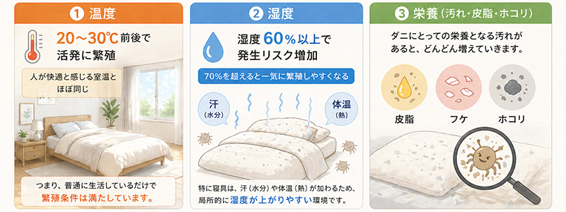 カビの発生要因